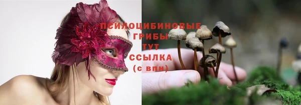 сатива Белоозёрский